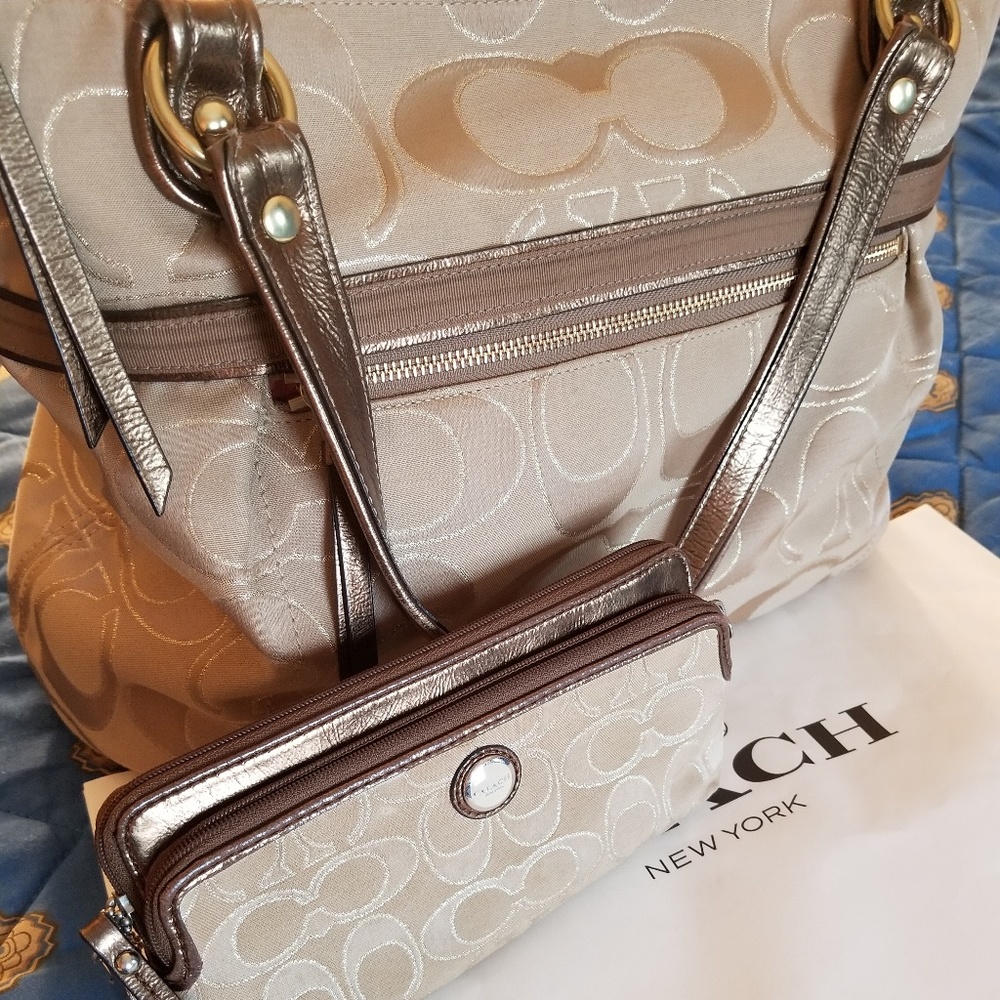 ISO makeup bag , wristlet to match this bag